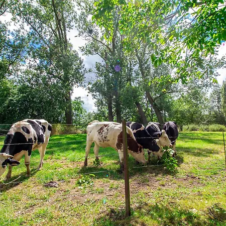Sweet-gerson, Calme, Proche Gare, Parking Prive דירה