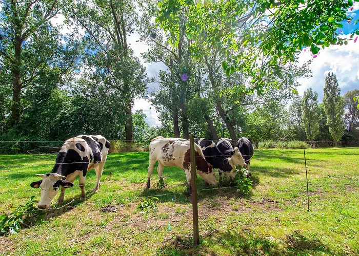 Sweet-gerson, Calme, Proche Gare, Parking Privé Appartamento